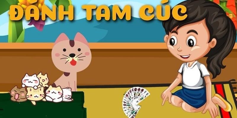 Hướng dẫn cách chơi bài tam cúc dành cho người mới bắt đầu