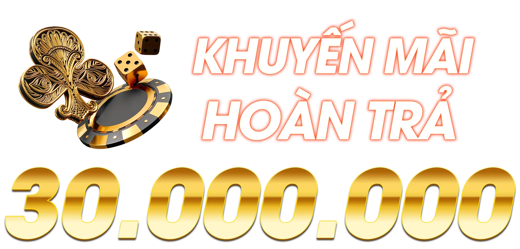 banner chính 2